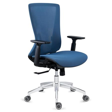 Ergonomische bureaustoel EVANS, Professioneel gebruik van 8 uur, Geweldig Design en Hoge Kwaliteit, Metalen Onderstel, Blauw